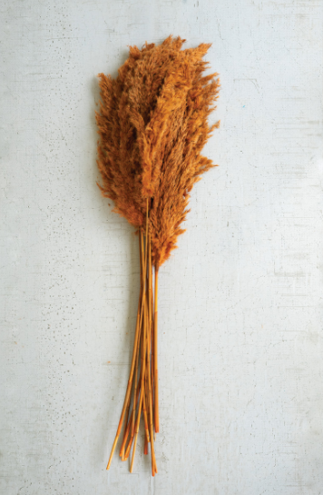 Pampas Grass Decor (Bundle of 4 Stems)