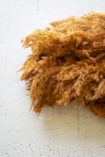 Pampas Grass Decor (Bundle of 4 Stems)