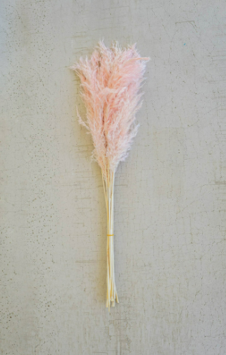 Pampas Grass Decor (Bundle of 4 Stems)