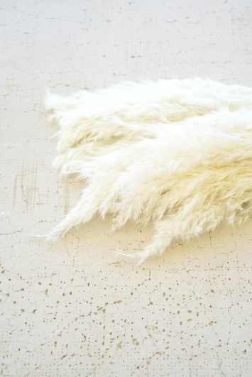 Pampas Grass Decor (Bundle of 4 Stems)